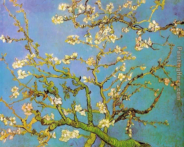 Almond Branches in Bloom painting - Vincent van Gogh Almond Branches in Bloom art painting